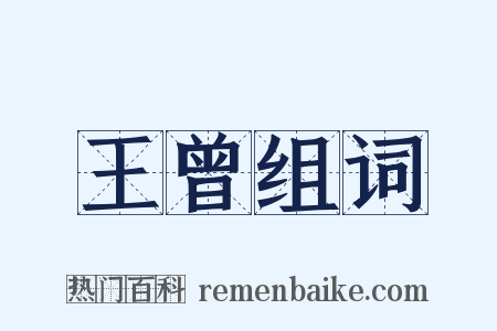 王曾组词是什么意思的图片